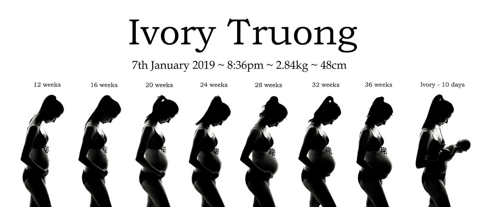 Pregnancy Series